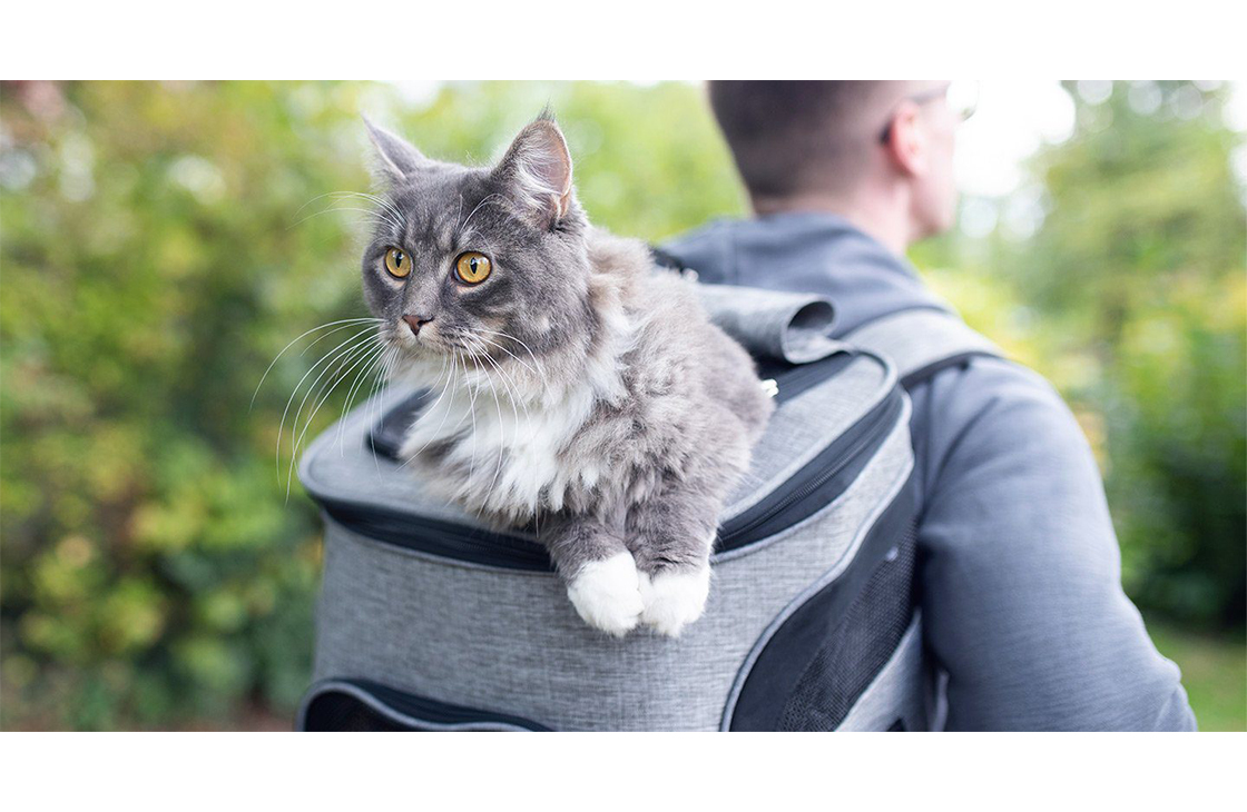 Рюкзак-переноска для кошек